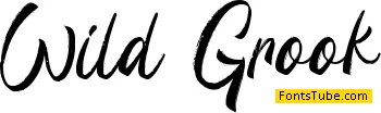 Wild Grook - Personal Use Font