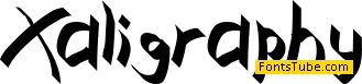 Xaligraphy Font Family