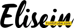 Elisein