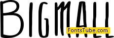 Big Mall