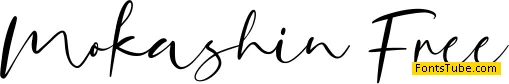 Mokashin