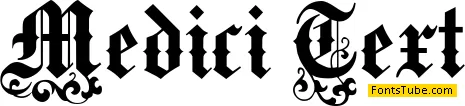 Medici Text Font
