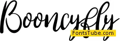 Booncyfly