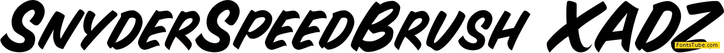 Snyder Speed Brush