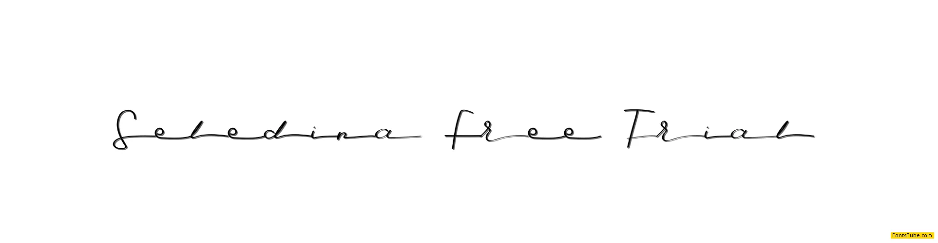 Seledina Free Trial Font