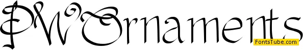 PW Ornaments Font