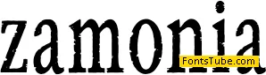 Zamonia 2013