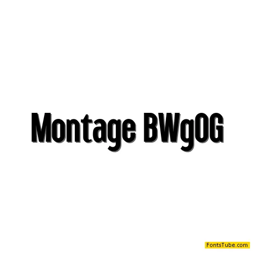 Montage