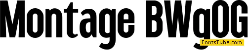 Montage