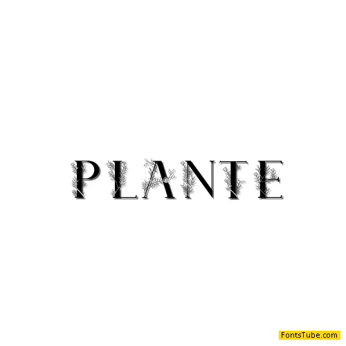 Plante