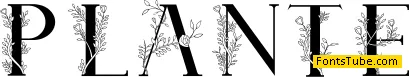 Plante