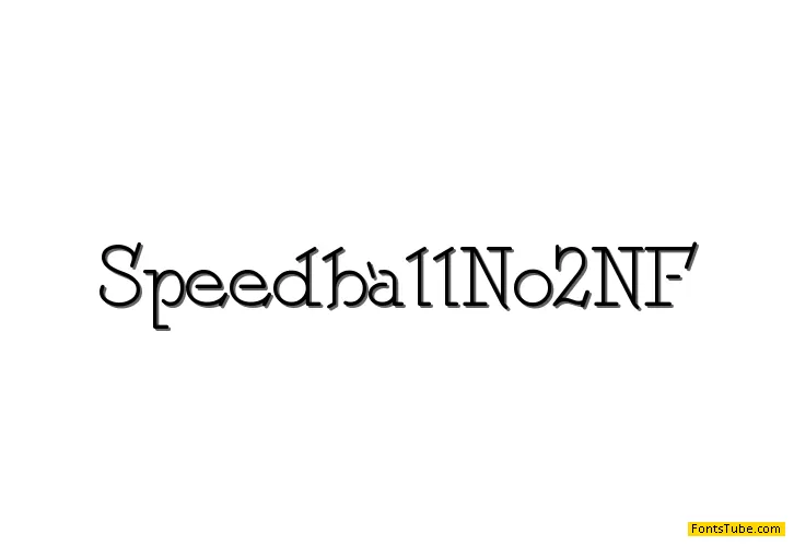 Speedball No 2 NF Font Family