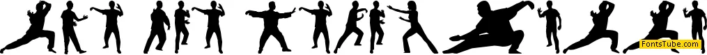 Tai-Chi Silhouette