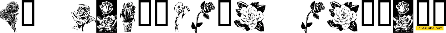 KR Beautiful Flowers Font