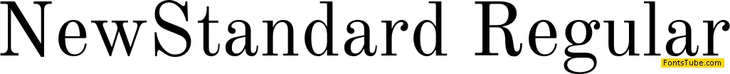 New Standard Font