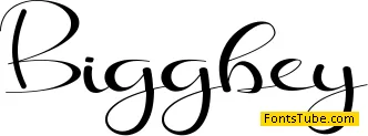 Biggbey Font