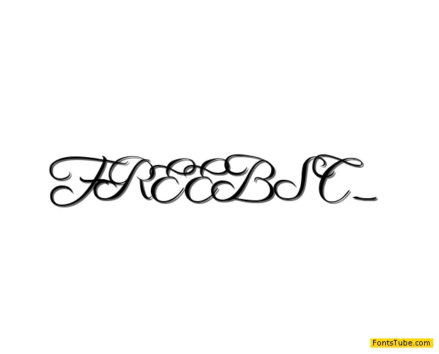 Freebooter Script Font Family