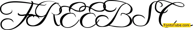 Freebooter Script Font Family