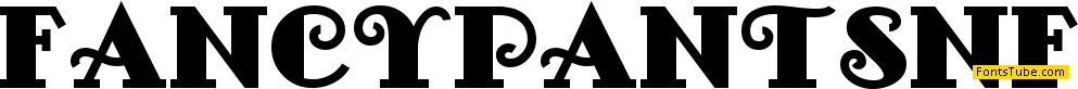 Fancy Pants NF Font