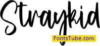 Straykid