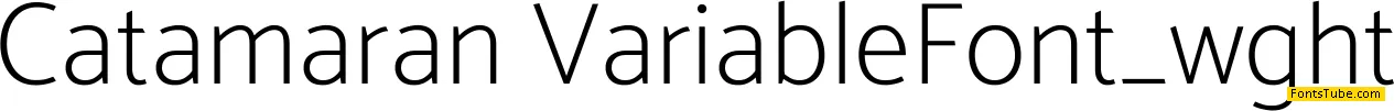Catamaran
