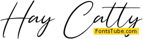 Hay Catty Font