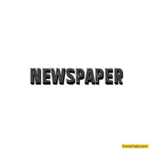 Newspaper