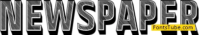 Newspaper