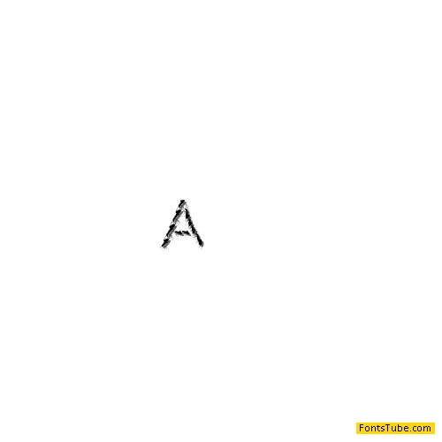 Ant