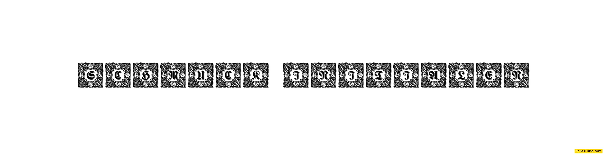 Schmuck Initialen Font Family