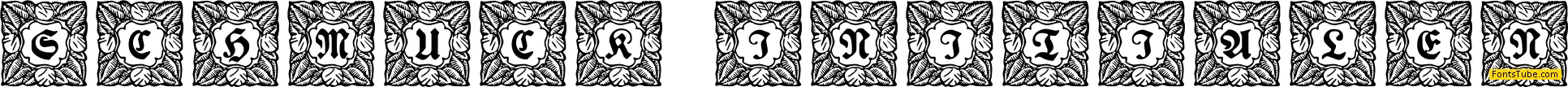 Schmuck Initialen Font Family