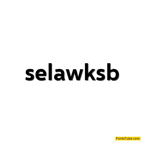 Selawik Font Family