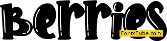 Berries - Personal use Font