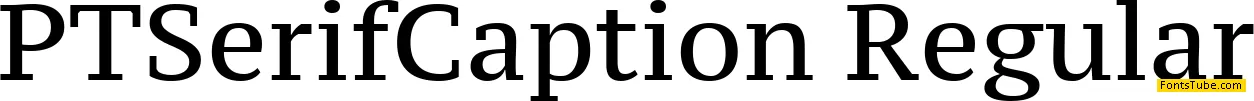 PT Serif Caption