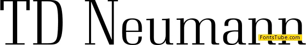 Neumann Font