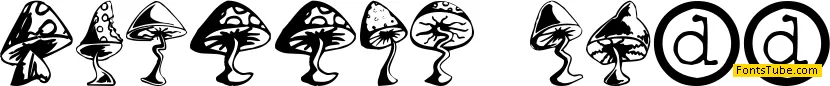 Shrooms