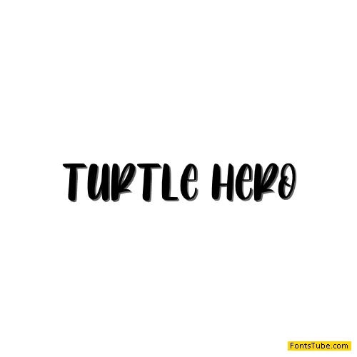 Turtle Hero