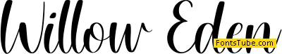 Willow Eden - Demo Version Font