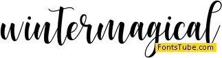 WinterMagical Font