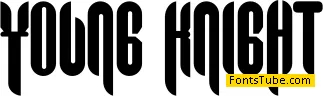 Young Knight