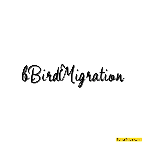 b Bird Migration