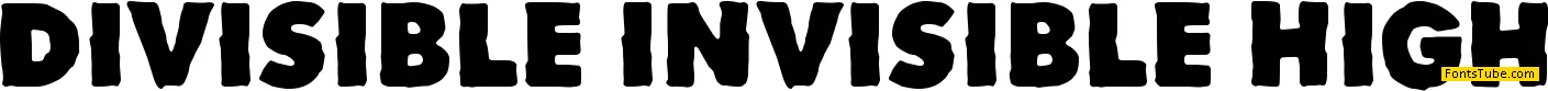 Divisible Invisible Font Family