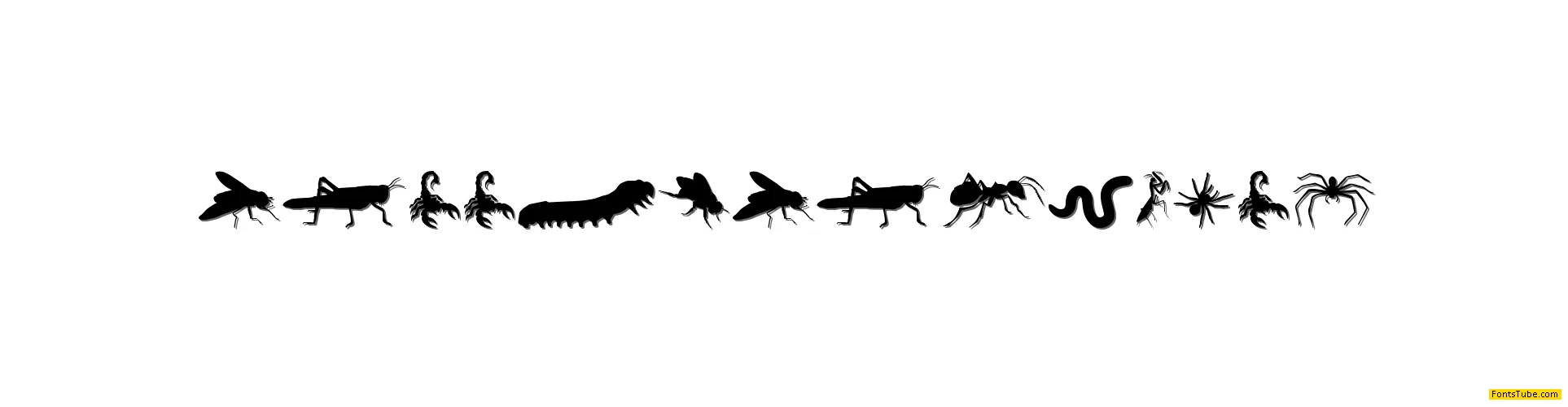Creepy Crawlies