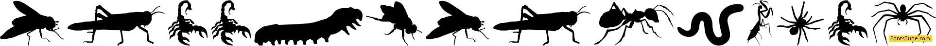 Creepy Crawlies