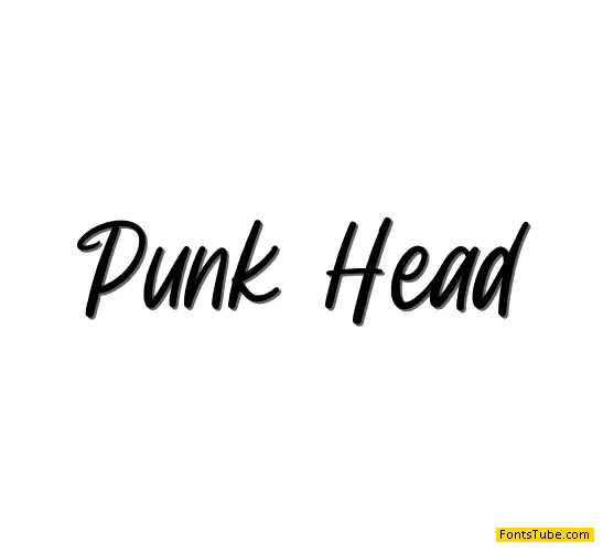 Punk Head