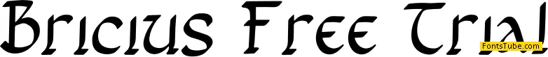 Bricius