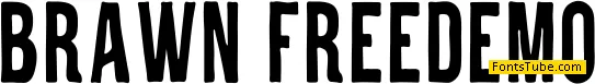 Brawn Font