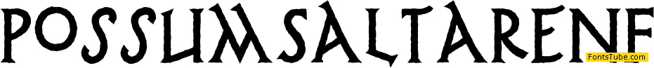 Possum Saltare NF Font