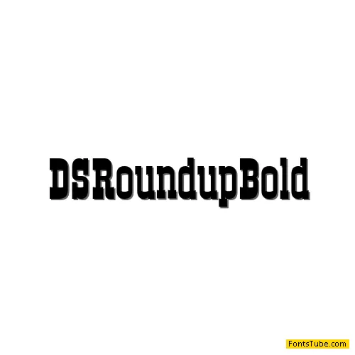 DS Roundup Font Family