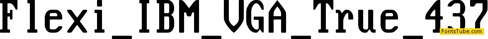 Flexi IBM VGA True Font Family